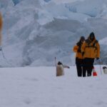 first aid antarctica