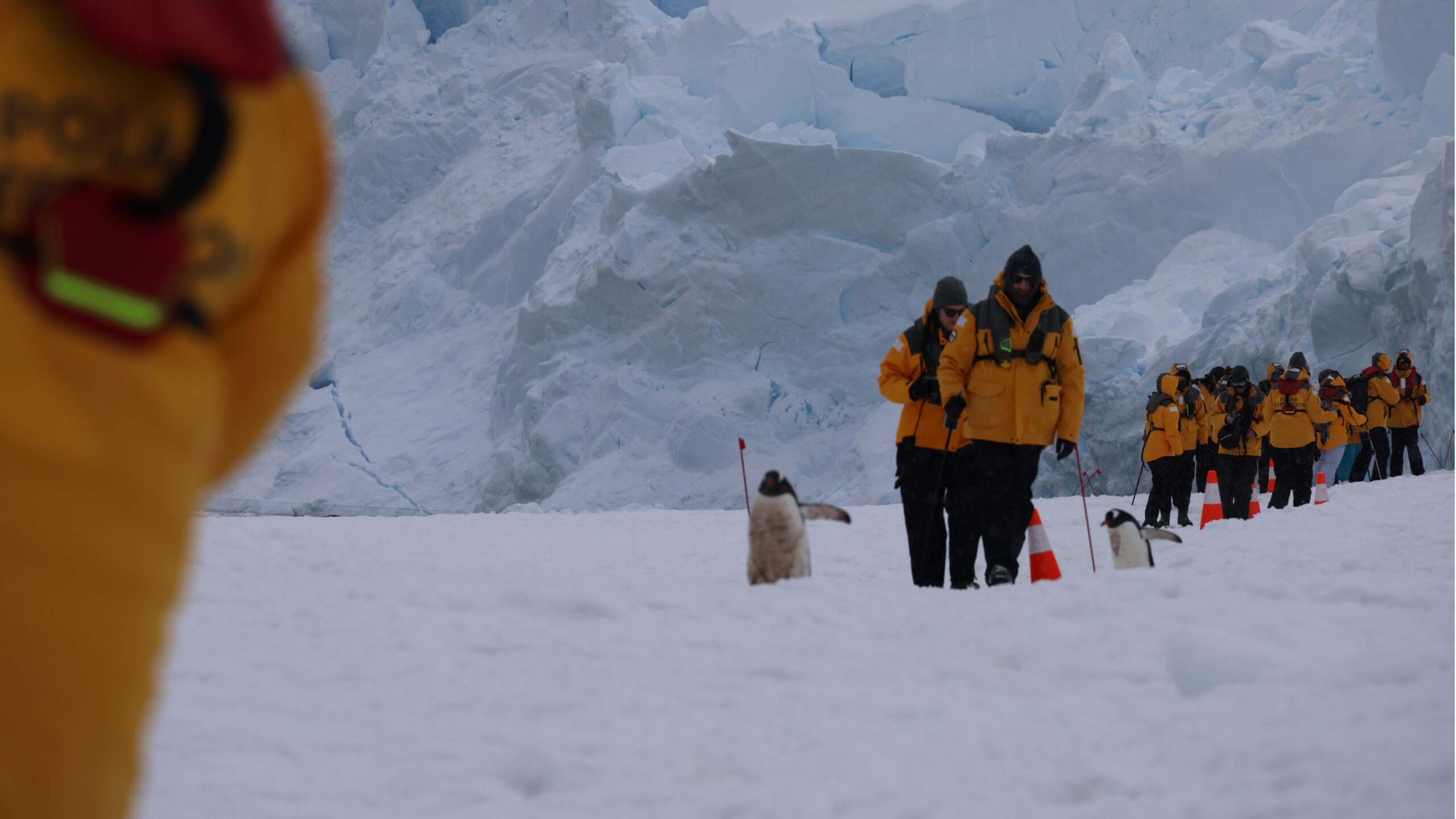 first aid antarctica